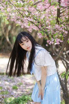 电视剧八阵图